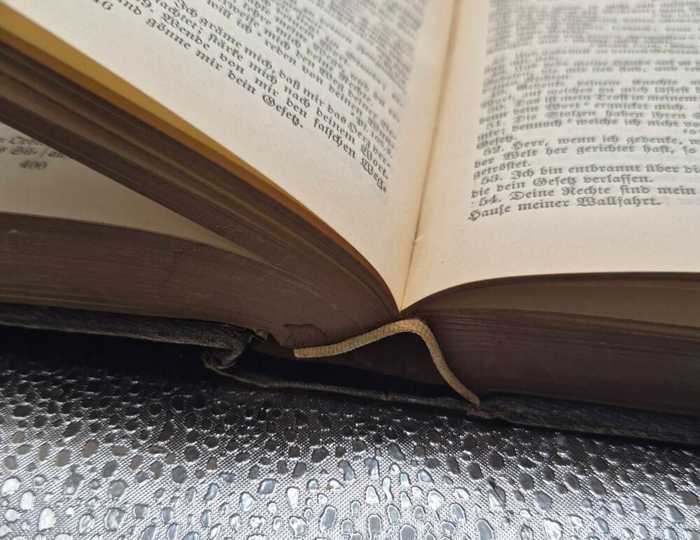 The Holy Scripture (German Bible - Picture 13 of 13